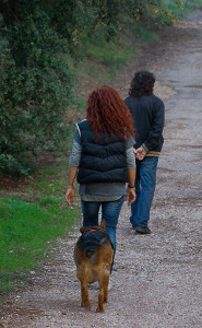 Photo de galerie - Promenade dans les bois