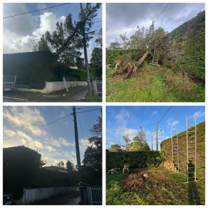 Photo de galerie - Travaux sur chute d’arbre après tempête