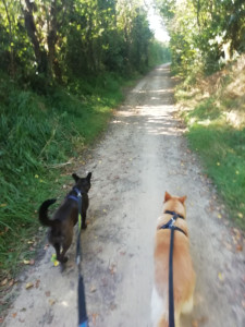 Photo de galerie - Princesse 5 ans et Daisy 8 ans