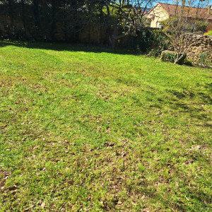 Photo de galerie - Tonte de pelouse - Débroussaillage