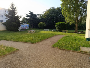 Photo de galerie - Avant (tonte + karsher)