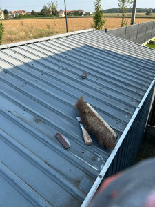 Photo de galerie - Peinture - Tapisserie