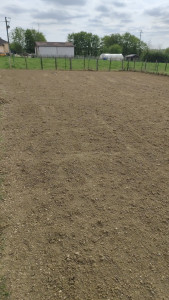 Photo de galerie - Paysagiste - Aménagement du jardin