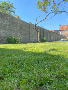 Photo de galerie - Tonte de pelouse - Débroussaillage