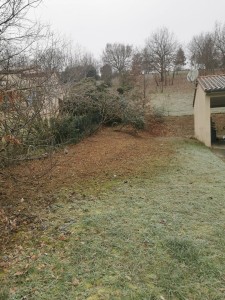 Photo de galerie - Debrousaillage friche (après) 