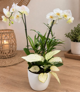 Photo de galerie - Jardinier