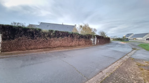 Photo de galerie - Après avoir taillé la haie qui déborder