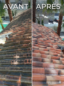 Photo de galerie - Nettoyage de toitures professionnel 