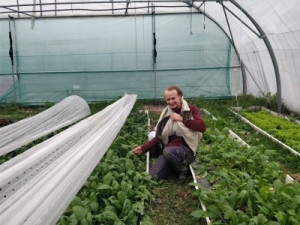 Photo de galerie - Récolte épinards