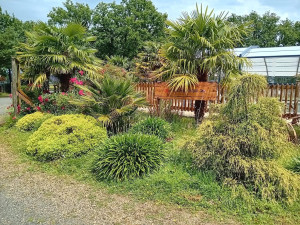 Photo de galerie - Massif entretien (naturel)