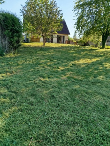 Photo de galerie - Débroussaillage d'un grand terrain chez un client 