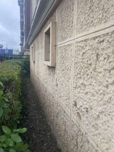 Photo de galerie - Elagage et coupe d'arbres