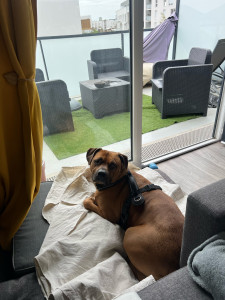 Photo de galerie - Garde de Looping ! 