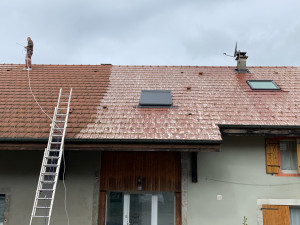 Photo de galerie - Des Moussages voiture avec des produits fongicide sans Karcher