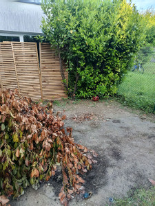 Photo de galerie - Paysagiste - Aménagement du jardin