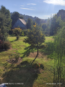Photo de galerie - Propriété familiale 1 hectares entretien régulier 