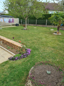 Photo de galerie - Tonte de pelouse 