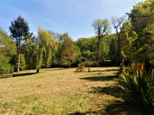 Photo de galerie - Tonte de pelouse - Débroussaillage