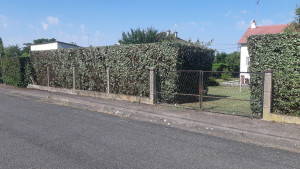 Photo de galerie - Après la taille de haie de chalef 