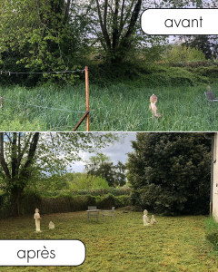 Photo de galerie - Tonte de pelouse - Débroussaillage