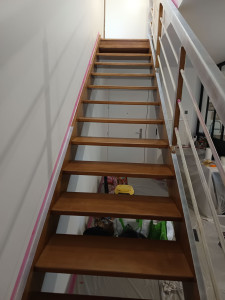 Photo de galerie - Rénovation d'un escalier en bois  (avant)