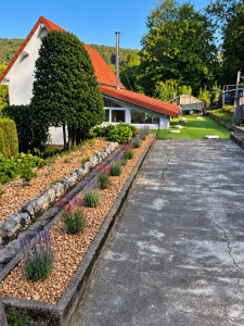 Photo de galerie - Réalisation d’une plate-bande de lavande et de sauge