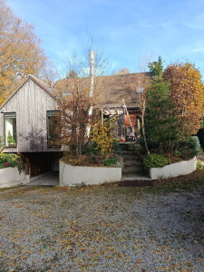 Photo de galerie - Après ( ététage radical d'un bouleau )