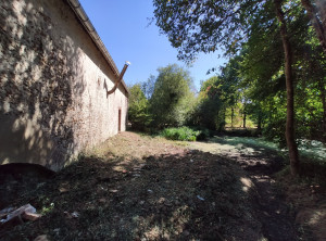 Photo de galerie - Elagage et coupe d'arbres