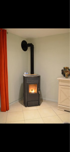 Photo de galerie - Poile à granules 