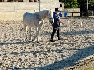 Photo de galerie - Dressage