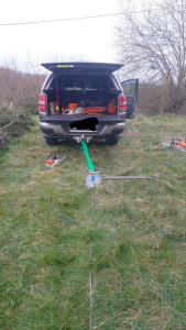 Photo de galerie - Elagage et coupe d'arbres