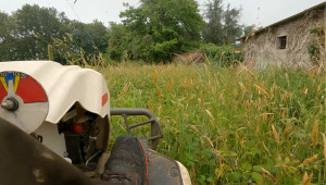 Photo de galerie - Tonte de pelouse - Débroussaillage