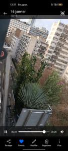 Photo de galerie - Paysagiste - Aménagement du jardin