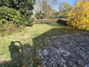 Photo de galerie - Tonte de pelouse - Débroussaillage