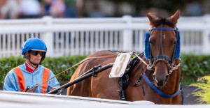 Photo de galerie - Photographe