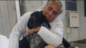 Photo de galerie - Il s'appelle Miso, un chien d'arrêt, je suis tombé amoureux de cette race, c'est un croisé 