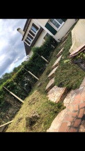 Photo de galerie - Tonte de pelouse - Débroussaillage