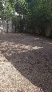 Photo de galerie - Désherbage Manuelle 
