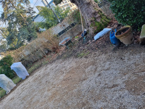 Photo de galerie - Après désencombrement maison