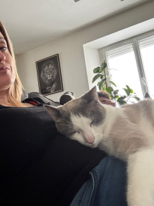 Photo de galerie - 2 chats à la maison je sais parfaitement bien m’en occuper 