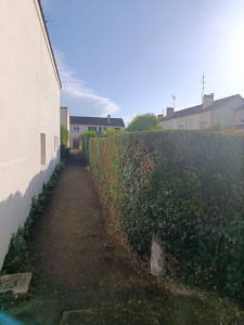 Photo de galerie - Taille de haies et d'arbustes