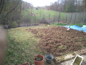 Photo de galerie - Massage motobineuse remblais trou pose de délimitation potage et semence de gazon 