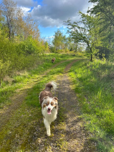 Photo de galerie - Rio