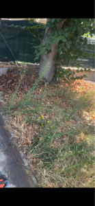 Photo de galerie - Jardinier