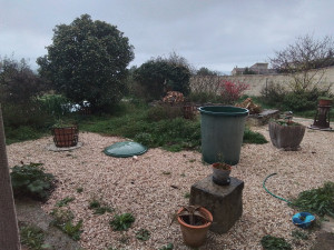 Photo de galerie - Nettoyage massifs