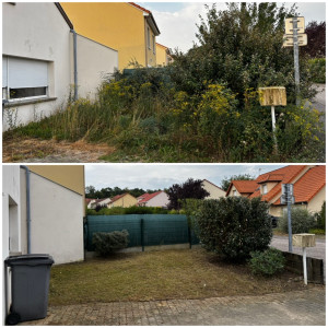 Photo de galerie - Remise au propre du jardin