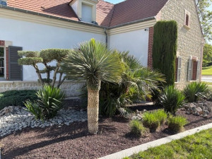 Photo de galerie - Paysagiste - Aménagement du jardin