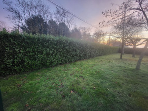 Photo de galerie - Avant 