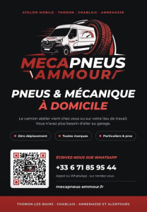 Photo de galerie - Flyer mecapneus ammour 