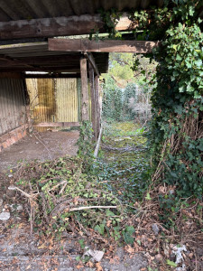 Photo de galerie - Nettoyage évacuation de déchets 